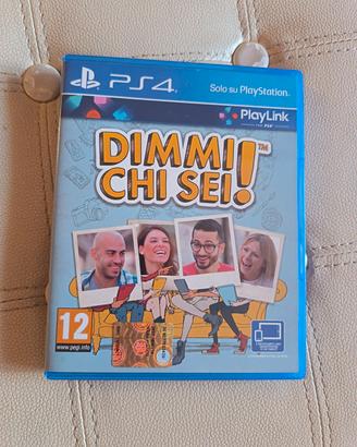 videogioco 