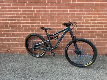 rockrider am 50s