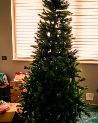 Albero di natale 