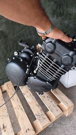 motore Triumph 