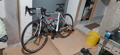 Bici da corsa Focus Izalco Pro (Carbonio)