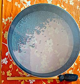 Ocean drums