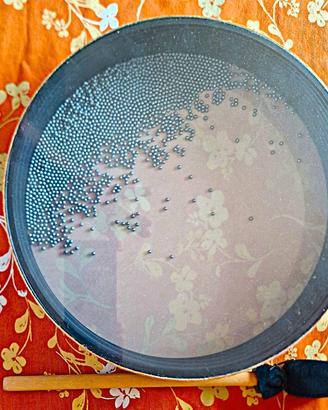 Ocean drums