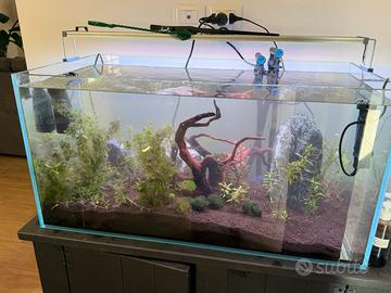 Acquario + mobile e accessori