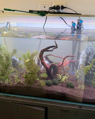 Acquario + mobile e accessori