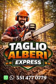 Taglia Alberi Rapido ?? Salerno & Costiera