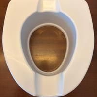 Rialzo wc