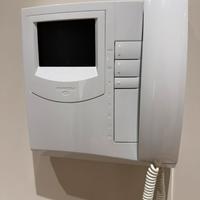 Coppia Videocitofono Farfisa Exhito