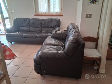 coppia divani Nicoletti 