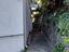 Immagine 23