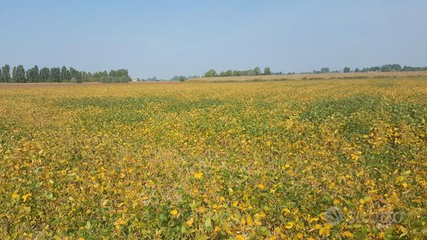 Terreno agricolo a seminativo