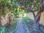 Immagine 30