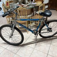 Bici mountain bike