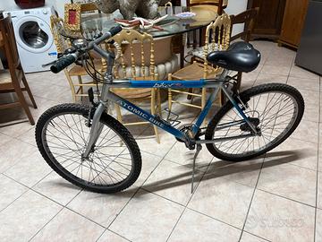 Bici mountain bike