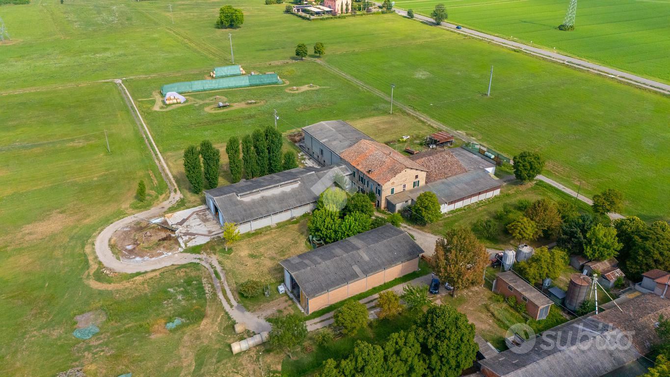 TER. AGRICOLO A REGGIO NELL'EMILIA - Altro