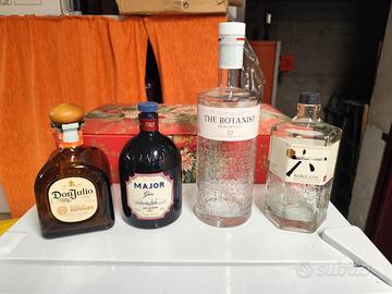 Bottiglie vuote gin 