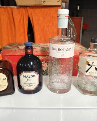 Bottiglie vuote gin 