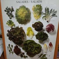 Quadri da cucina