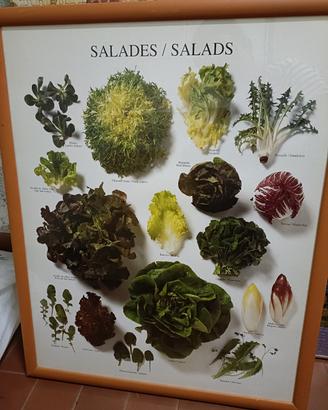Quadri da cucina