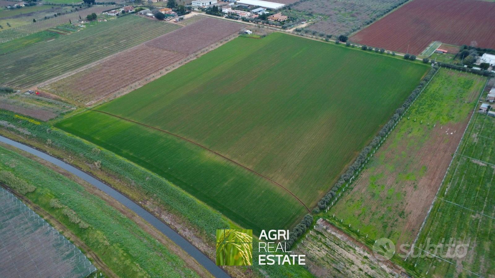 Terreno 7 HA fronte strada con pozzo | TR487 - Vista 2