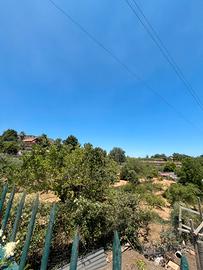 Terreno a Trecastagni 4000 mt