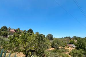 Terreno a Trecastagni 4000 mt