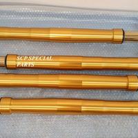 DUCATI PANIGALE FORCELLE OHLINS FL 956 EX 1299R FE