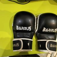 Guantini MMA Barrus