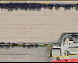 Azienda agricola con casa