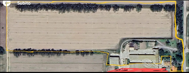 Azienda agricola con casa