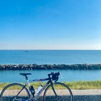 Bici corsa Lee Cougan taglia S + borsa viaggio