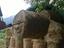 Immagine 2