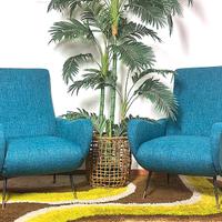 Poltrone LADY Anni 50 Design Attribuito M.ZANUSO