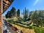 Immagine 25