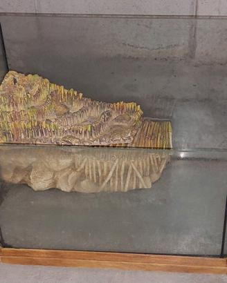 Tartarughiera elegante in vetro e rifiniture legno