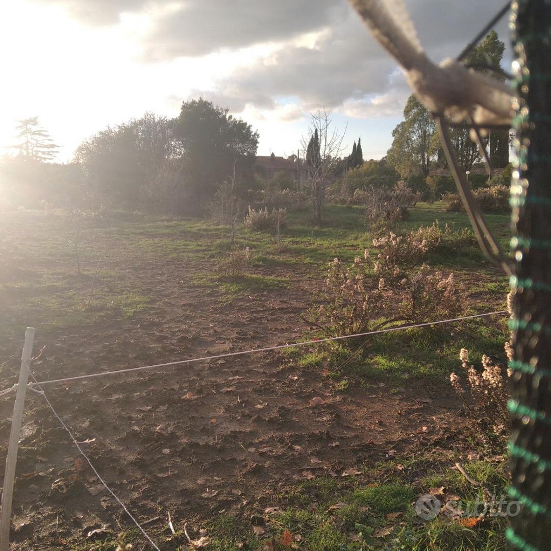 Terreno a Roma - Land for Sale in Rome - Vista 4
