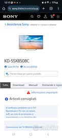 Ricambi tv Sony Android KD-55xc8508c