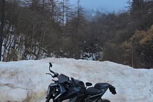 KTM 990 Duke 2024 | Total Black