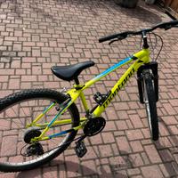 Bici Mtb 26’’  Montana