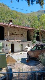 Rustico 