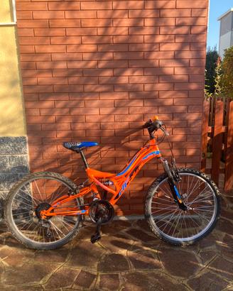Mountain bike