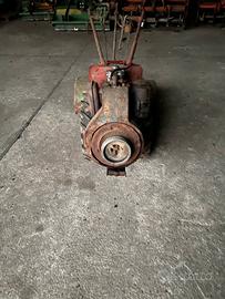 Trattore Goldoni 14 cv