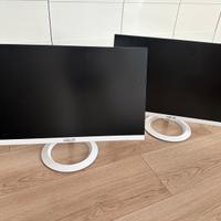Coppia di Monitor ASUS 24 pollici