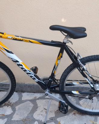 biciclette uomo e donna