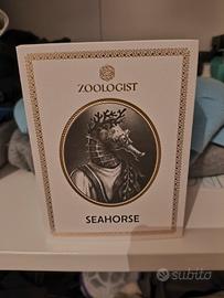seahorse zoologist 