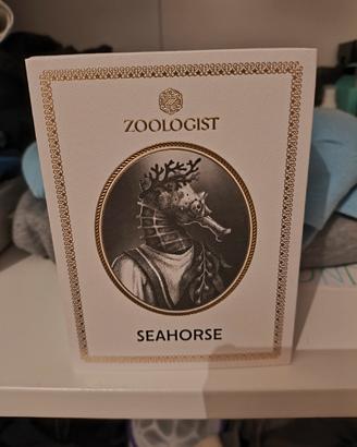 seahorse zoologist 