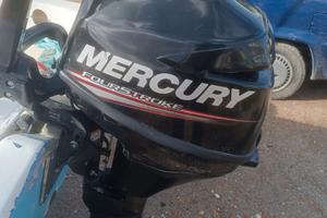 Barca da pesca con motore 