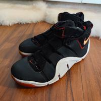 Nike LeBron 4 "Varsity Crimson" (314647-011) sz 46