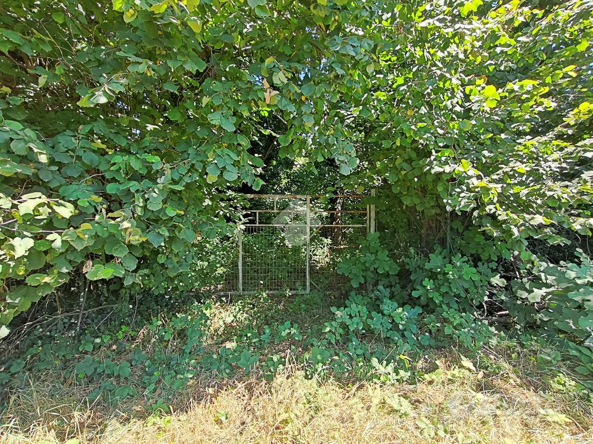 TER. AGRICOLO A CARATE BRIANZA - Vista 3