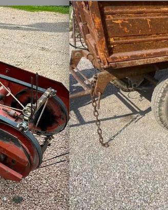 ranghinatore nastro e rimorchio fisso legna